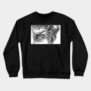 seek the face (line hedging) Crewneck Sweatshirt